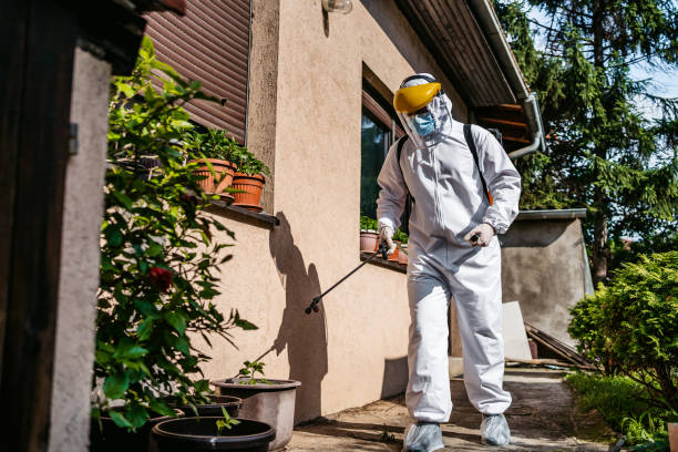 Best Commercial Pest Control Services  in Bagdad, AZ