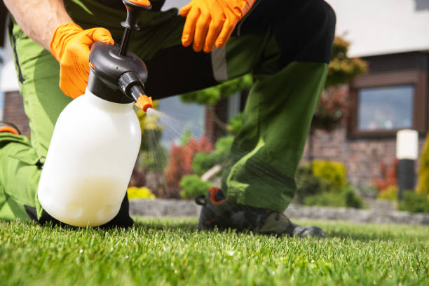 Best Exterminator Services  in Bagdad, AZ