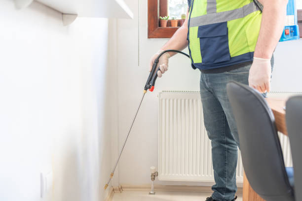 Best Affordable Pest Control Services  in Bagdad, AZ