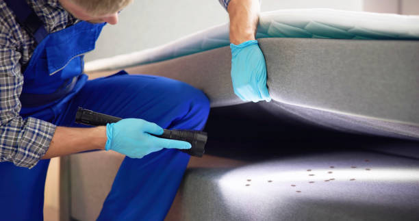  Bagdad, AZ Pest Control Pros