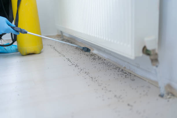 Bagdad, AZ Pest Control Company